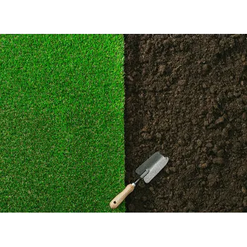 Lawn Grass